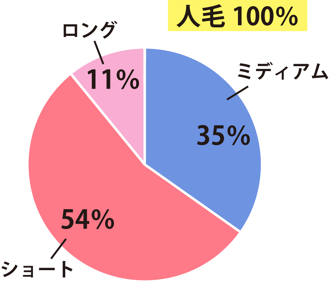 人毛スタイル別